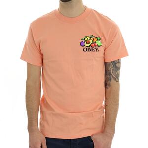 T-SHIRT BOWL OF FRUIT SALMONE